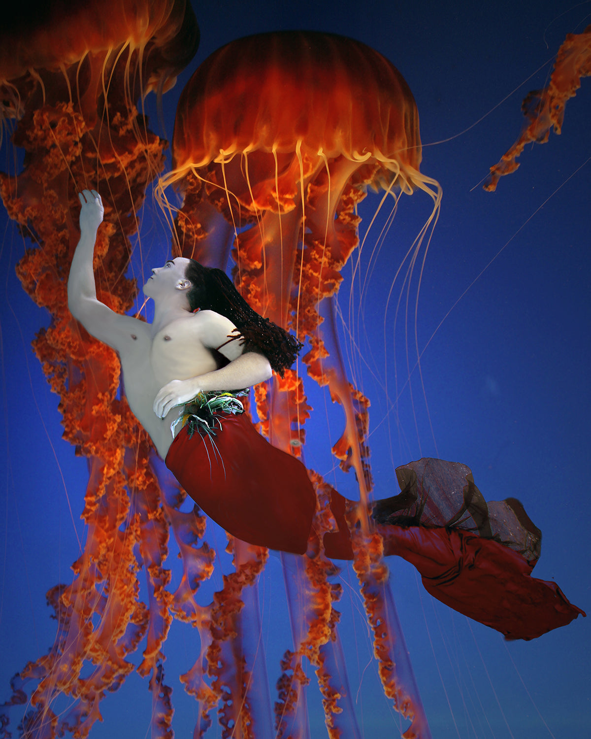 Jelly King