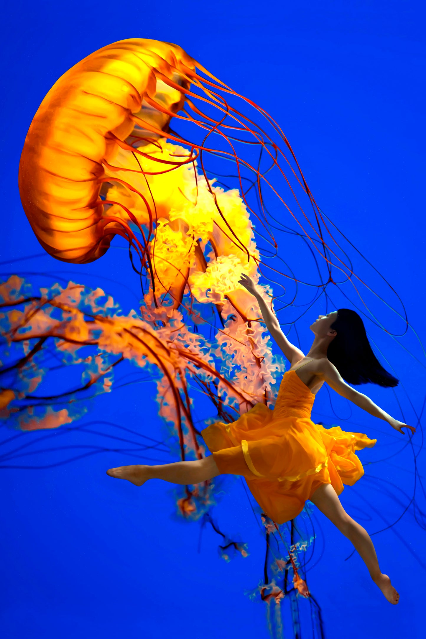 Dancing With Jellies