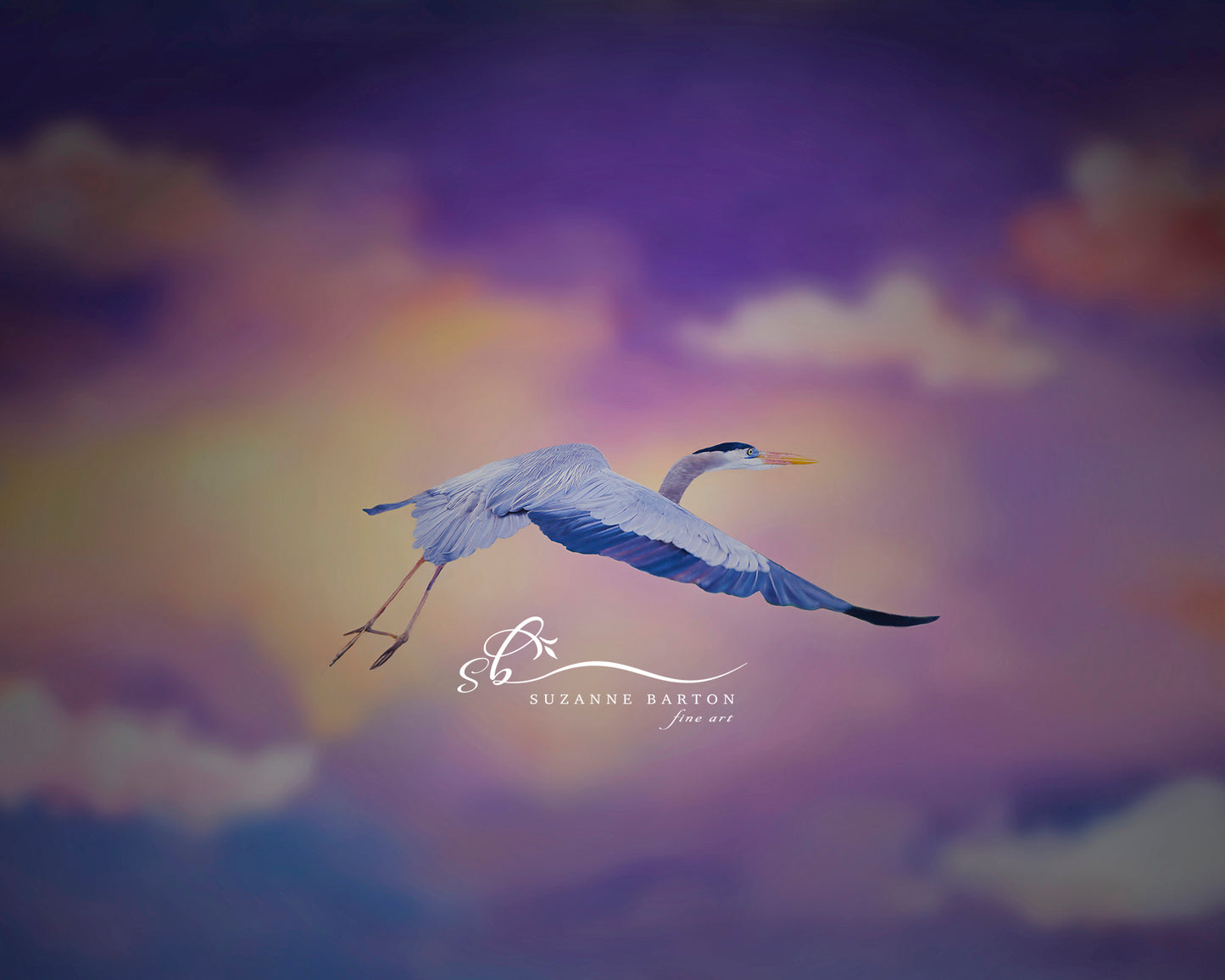 A fine art photo of a blue heron flying through a sky of pinks and purples.