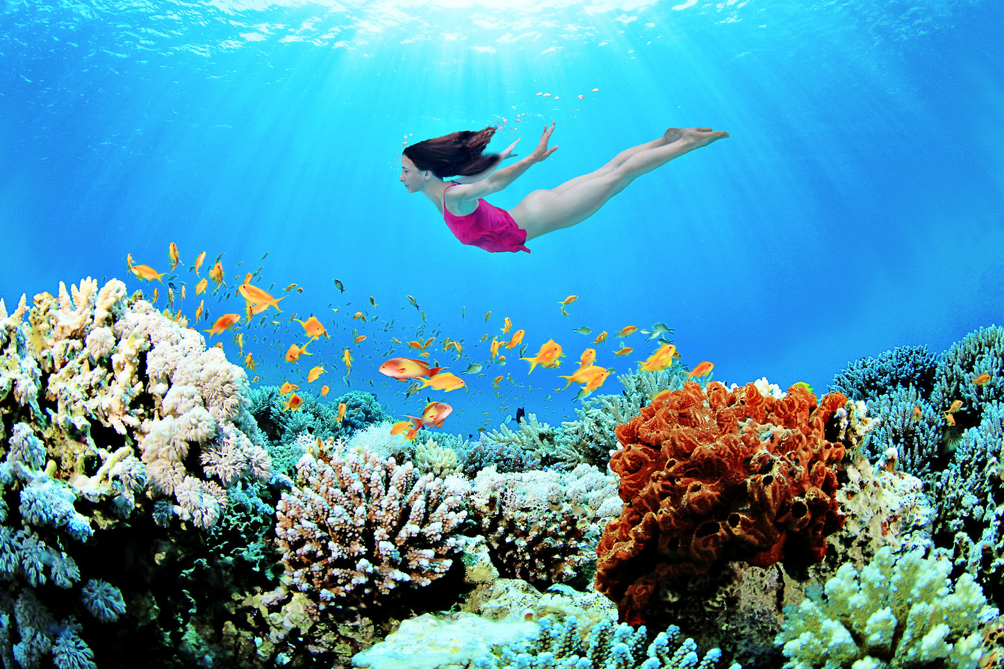 Over The Reef
