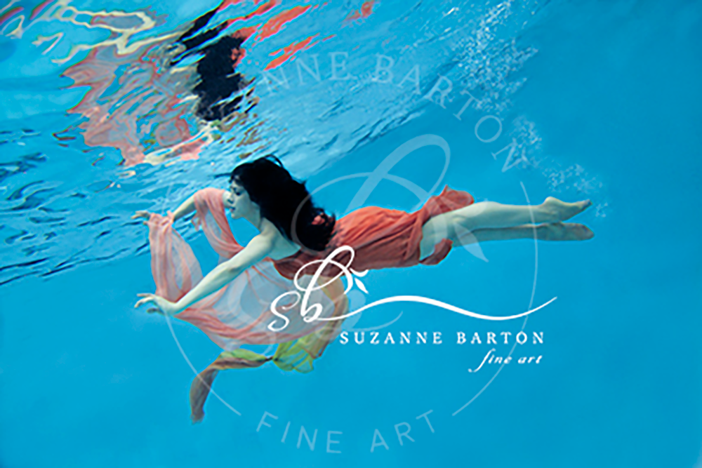 Ligia XIX - Suzanne Barton - Limited Edition