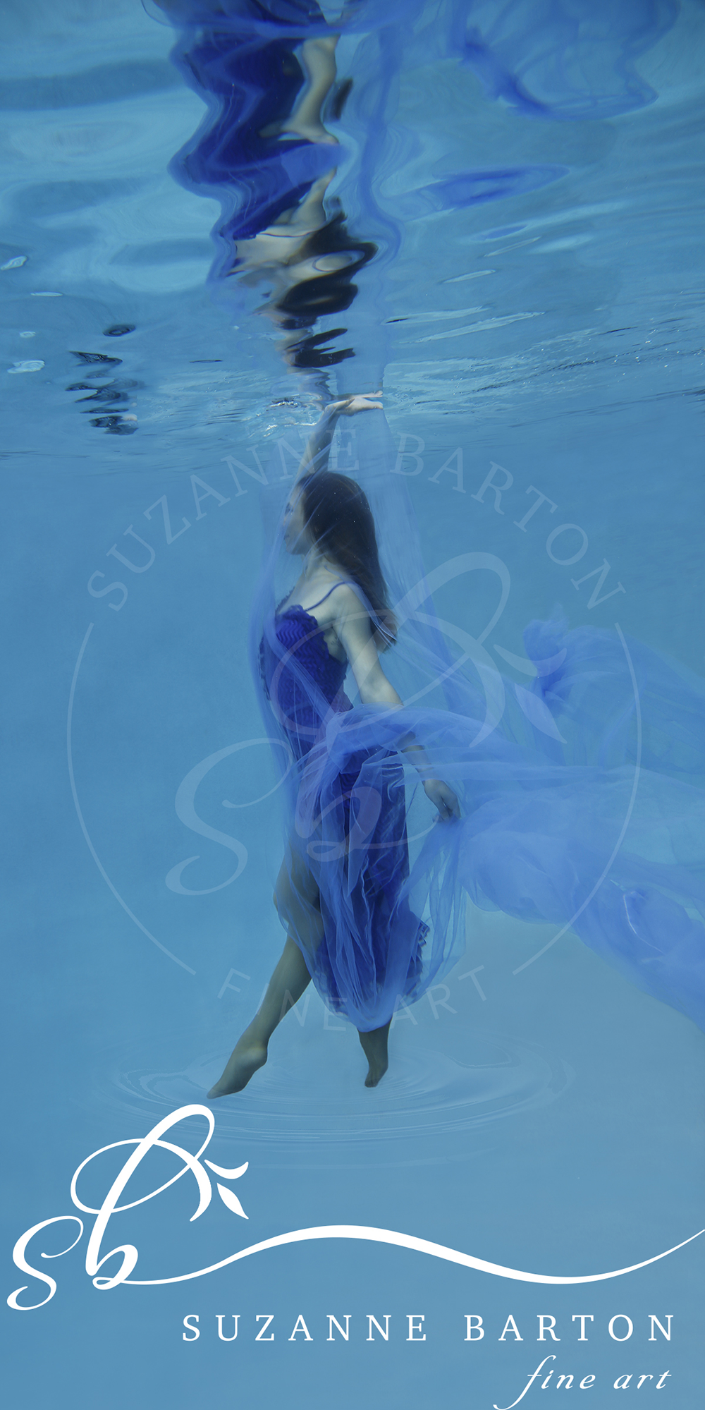 Purple Haze - Suzanne Barton - Limited Edition