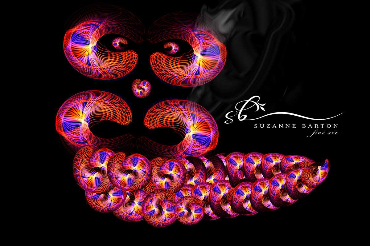 The dynamic composition created by the swirling light trails creates an abstract design that resembles the hookah smoking caterpillar from Through the Looking Glass