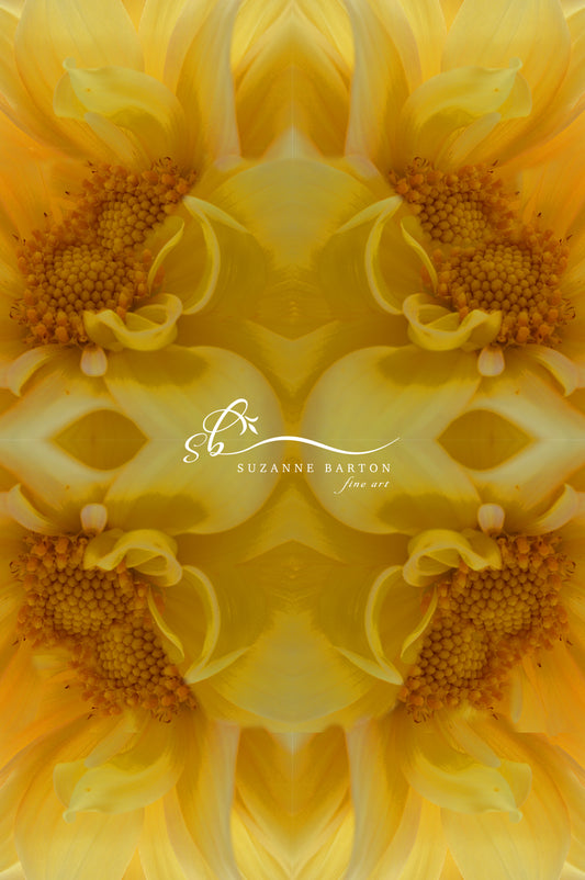 One beautiful symmetrical floral image repeated four times in warm gold and yellow tones. 