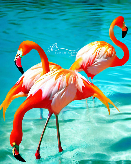 A small flock of flamingos in vibrant pinks and oranges. Standing in clear aqua colored water.