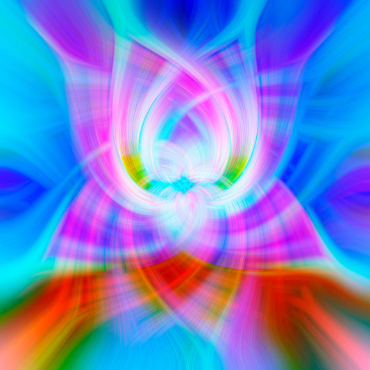 "Chakra Lotus" is an abstract symbol of color and light. Vibrant blues, pinks and reds look magical here. 