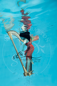Harp I - Suzanne Barton - Limited Edition