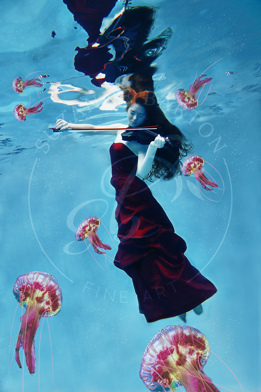 Jammin' with Jellies - Suzanne Barton - Limited Edition