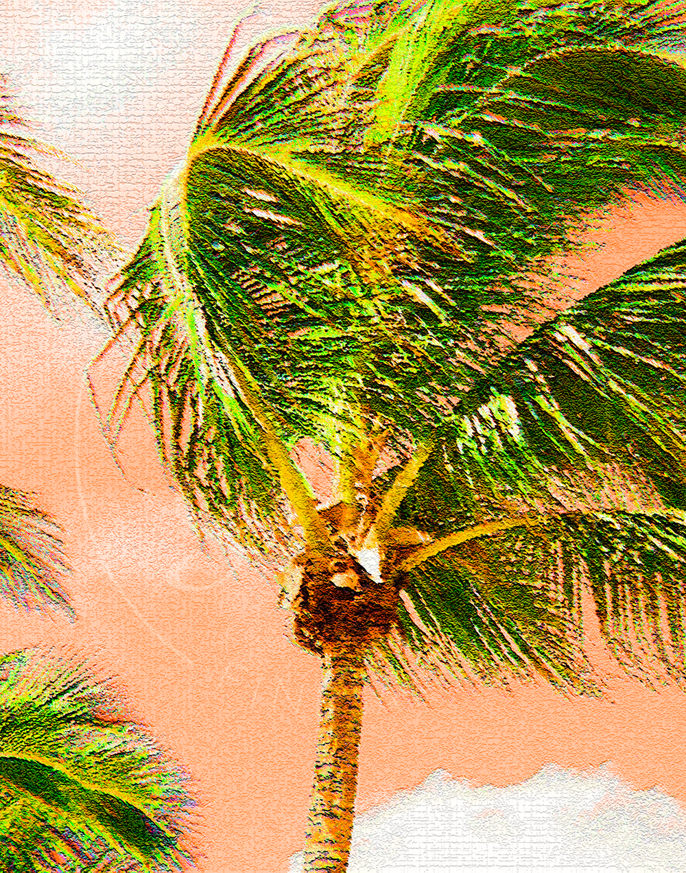 Palm in the Wind - Suzanne Barton - Limited Edition