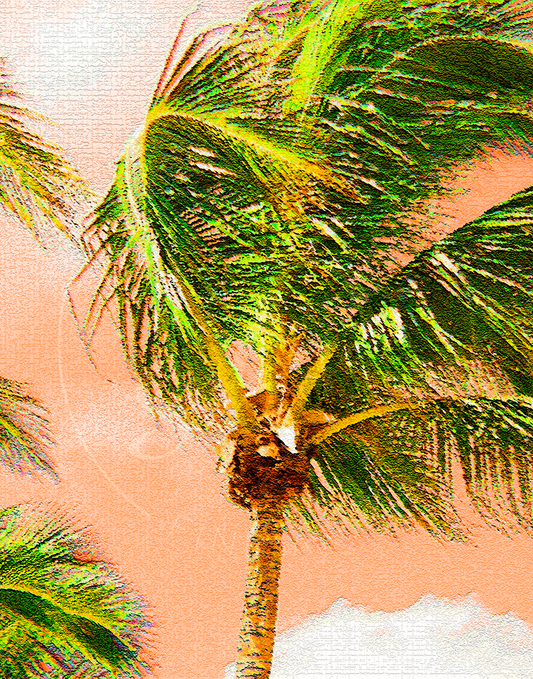 Palm in the Wind - Suzanne Barton - Limited Edition