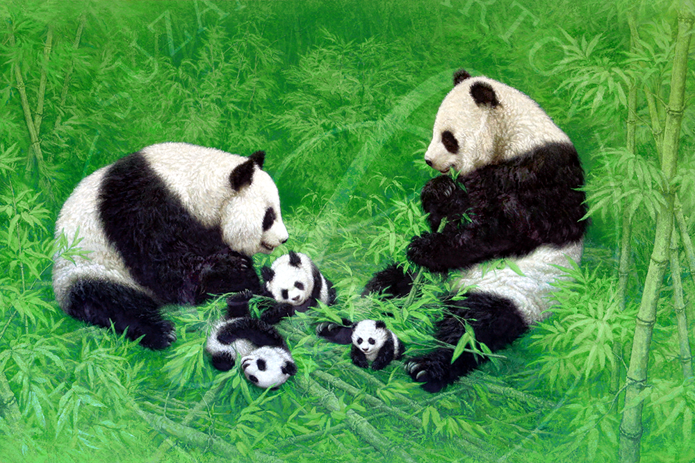 Panda Family - Suzanne Barton - Limited Edition