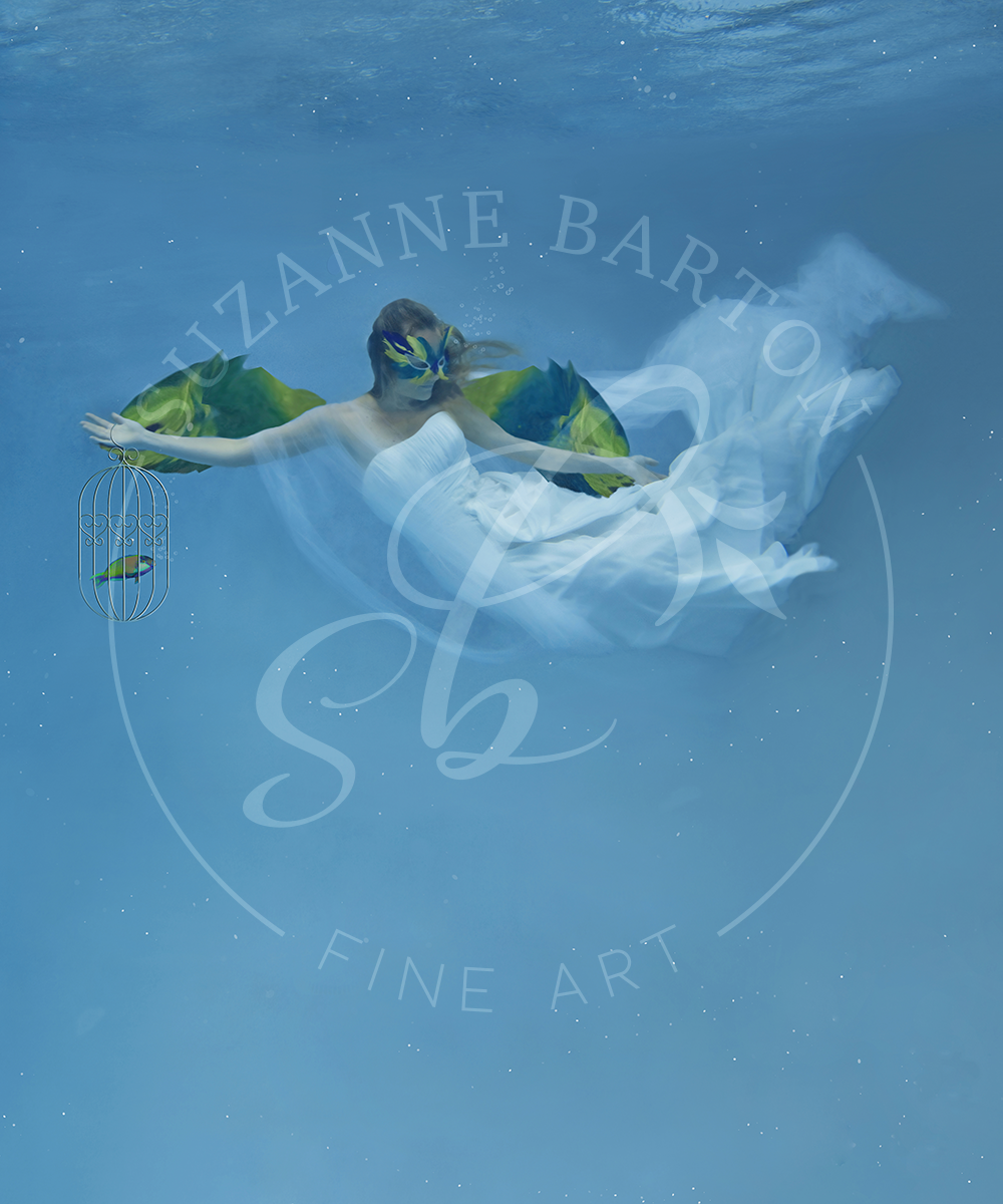 Parrot Fish - Suzanne Barton - Limited Edition