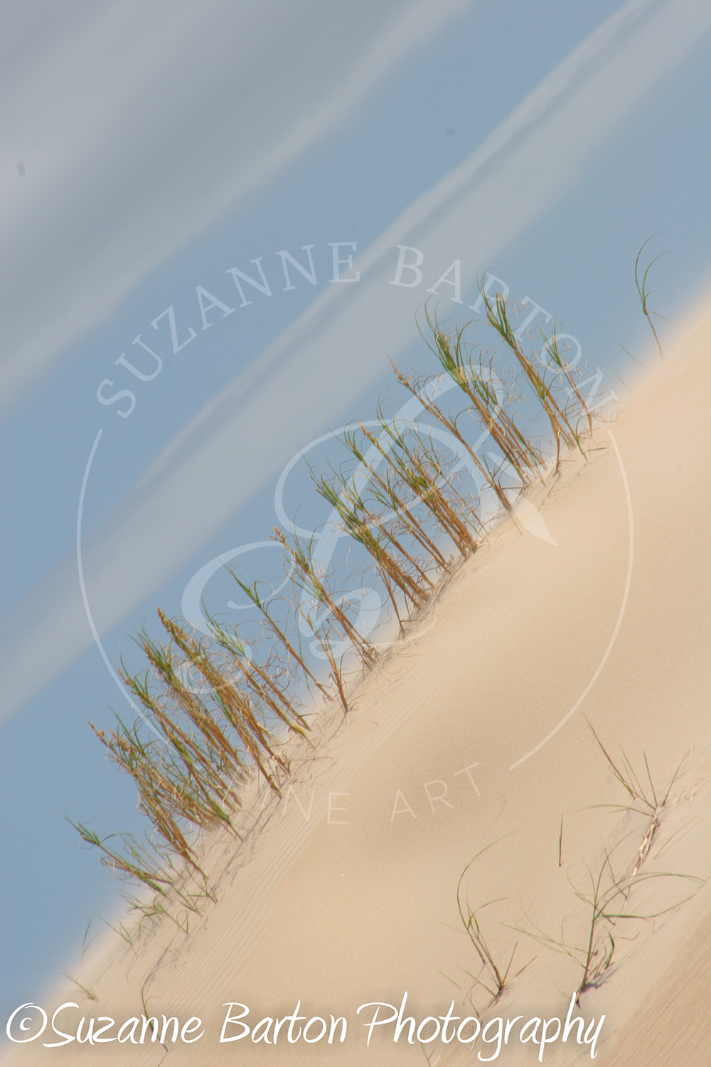Sand Dunes - Suzanne Barton - Limited Edition